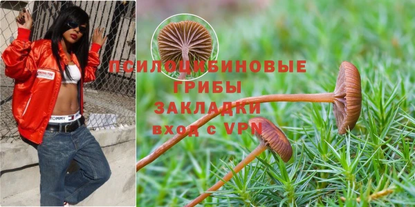 ПСИЛОЦИБИНОВЫЕ ГРИБЫ Зерноград