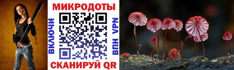 нарко площадка как зайти  Пустошка  Псилоцибиновые грибы GOLDEN TEACHER  наркота 
